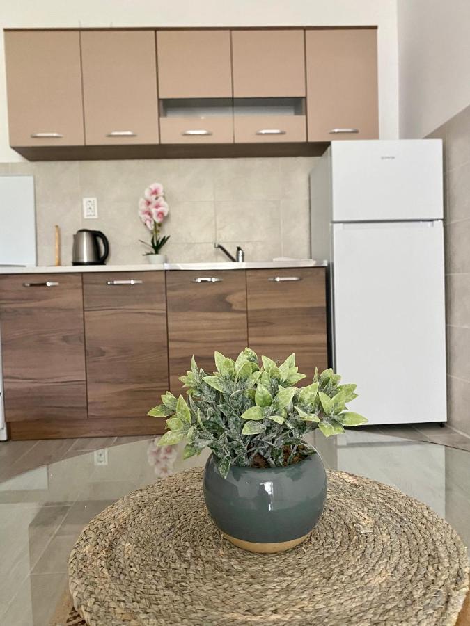 Apartmani Dragana Herceg Novi Dış mekan fotoğraf