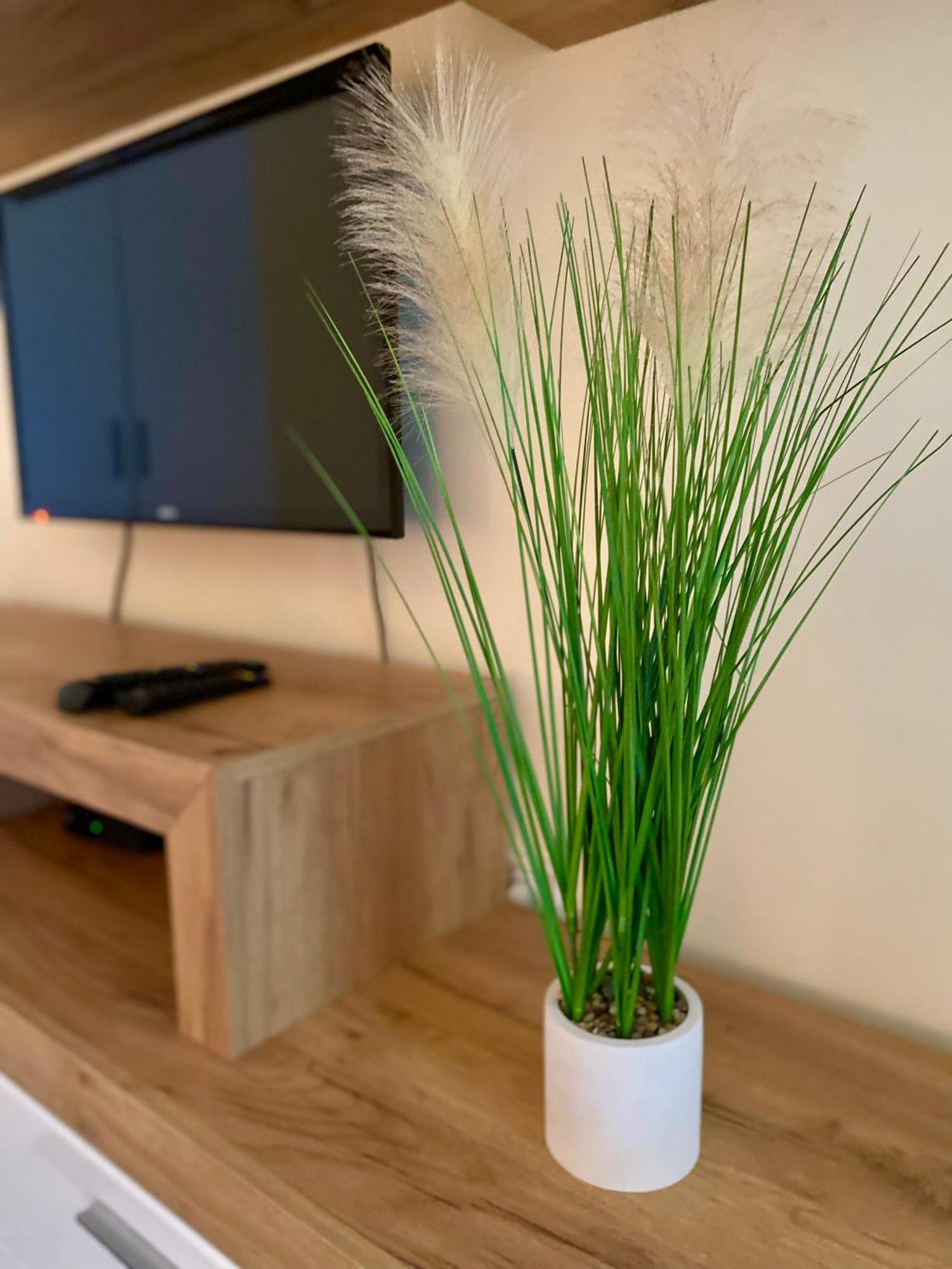 Apartmani Dragana Herceg Novi Dış mekan fotoğraf