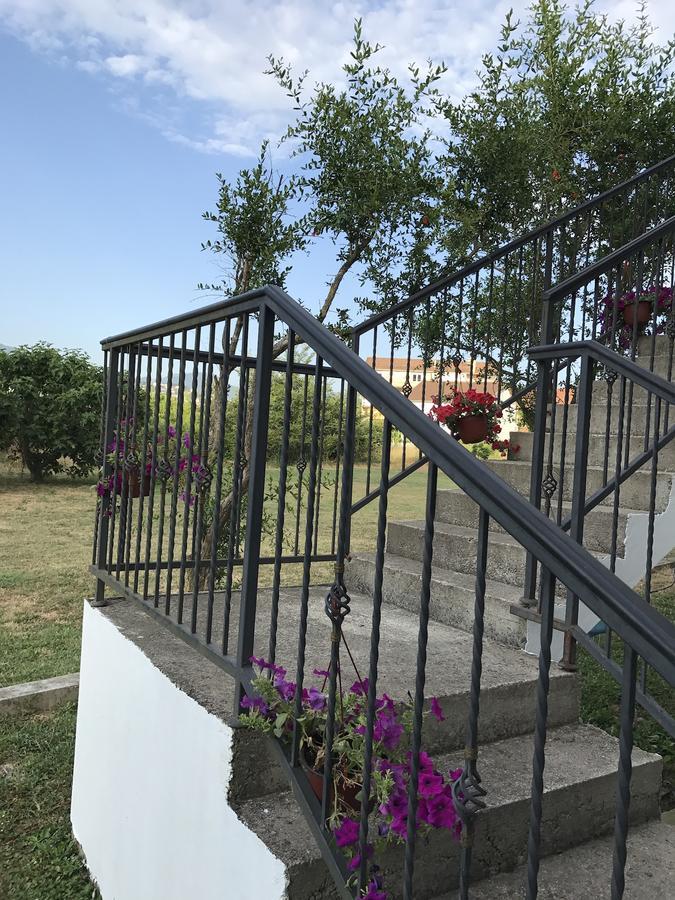 Apartmani Dragana Herceg Novi Dış mekan fotoğraf
